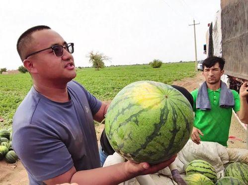 挨饿的吃瓜,揭秘饥饿中的美食诱惑